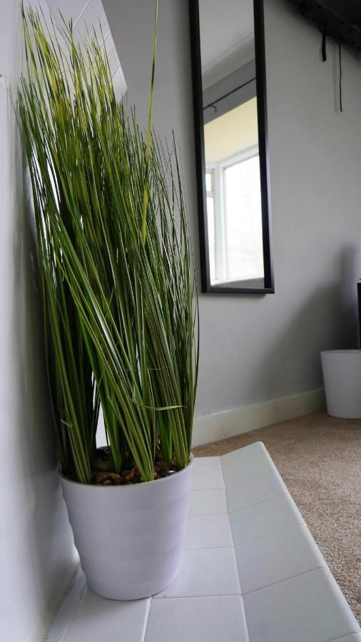 Portobello House - Four Bedroom House Perfect For Contractors - Sleeps 6 - Free Parking Вулвергемптон Екстериор снимка